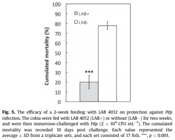 Diet supplementation of Pediococcus pentosaceus in cobia (Rachycentron canadum) enhances growth rate, respiratory burst and resistance against photobacteriosis - Image 5