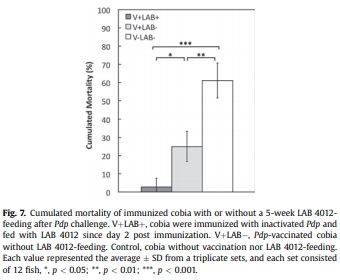 Diet supplementation of Pediococcus pentosaceus in cobia (Rachycentron canadum) enhances growth rate, respiratory burst and resistance against photobacteriosis - Image 7