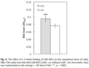 Diet supplementation of Pediococcus pentosaceus in cobia (Rachycentron canadum) enhances growth rate, respiratory burst and resistance against photobacteriosis - Image 4