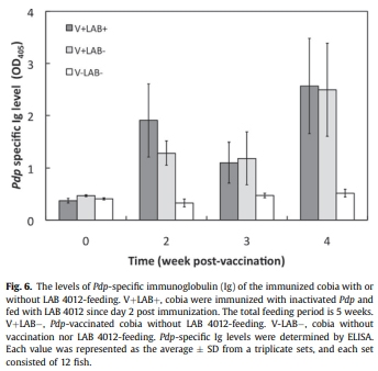 Diet supplementation of Pediococcus pentosaceus in cobia (Rachycentron canadum) enhances growth rate, respiratory burst and resistance against photobacteriosis - Image 6