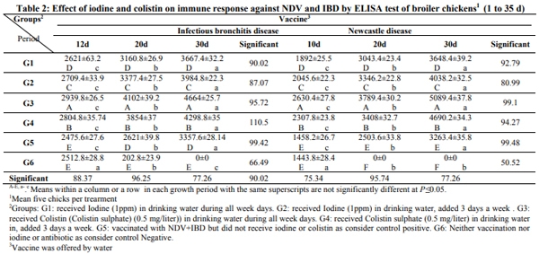 Do Iodine and Colistin in broiler’s drinking water affect immune competence and performance? - Image 2
