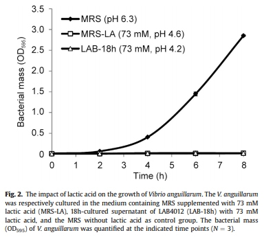Dietary supplementation of Pediococcus pentosaceus enhances innate immunity, physiological health and resistance to Vibrio anguillarum in orange-spotted grouper (Epinephelus coioides) - Image 4