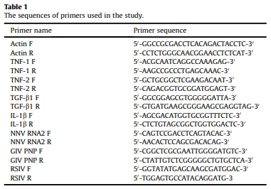 Dietary supplementation of Pediococcus pentosaceus enhances innate immunity, physiological health and resistance to Vibrio anguillarum in orange-spotted grouper (Epinephelus coioides) - Image 1