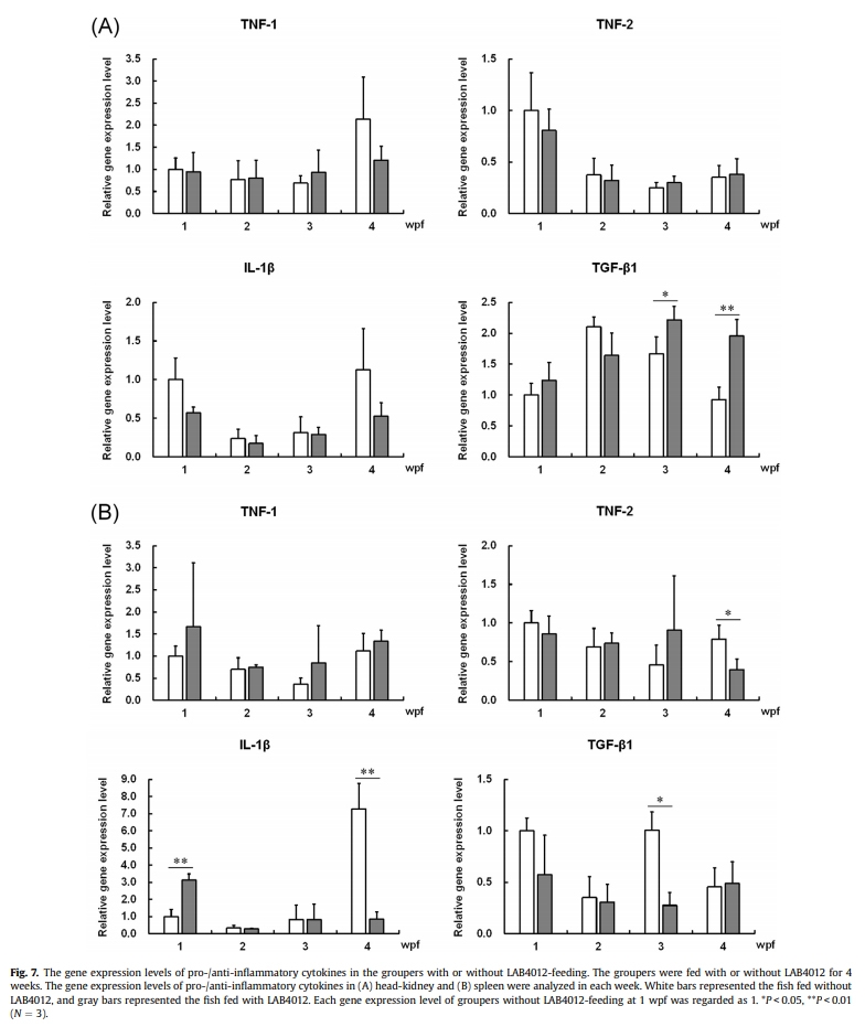 Dietary supplementation of Pediococcus pentosaceus enhances innate immunity, physiological health and resistance to Vibrio anguillarum in orange-spotted grouper (Epinephelus coioides) - Image 9