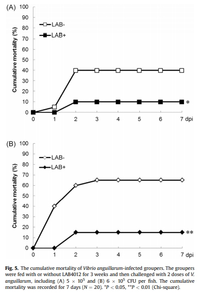 Dietary supplementation of Pediococcus pentosaceus enhances innate immunity, physiological health and resistance to Vibrio anguillarum in orange-spotted grouper (Epinephelus coioides) - Image 7