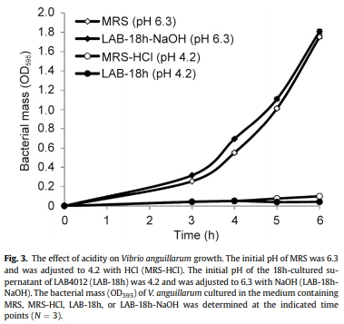 Dietary supplementation of Pediococcus pentosaceus enhances innate immunity, physiological health and resistance to Vibrio anguillarum in orange-spotted grouper (Epinephelus coioides) - Image 5
