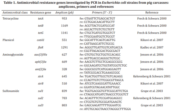 Genotyping and antimicrobial resistance in Escherichia coli from pig carcasses - Image 1