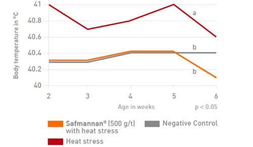 Heat stress: underlying mechanism and mitigation by yeast paraprobiotics - Image 3