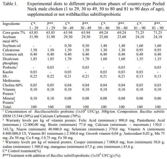 Usage of probiotic in country-type broiler’s chicken diet and its effects over the carcass yield, morphology and the gastrointestinal pH - Image 1