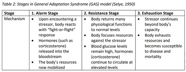 GAS, that weakens the general immunity in chickens - Image 3