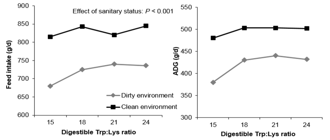 Functional amino acids to improve the immunity of pigs - Image 5