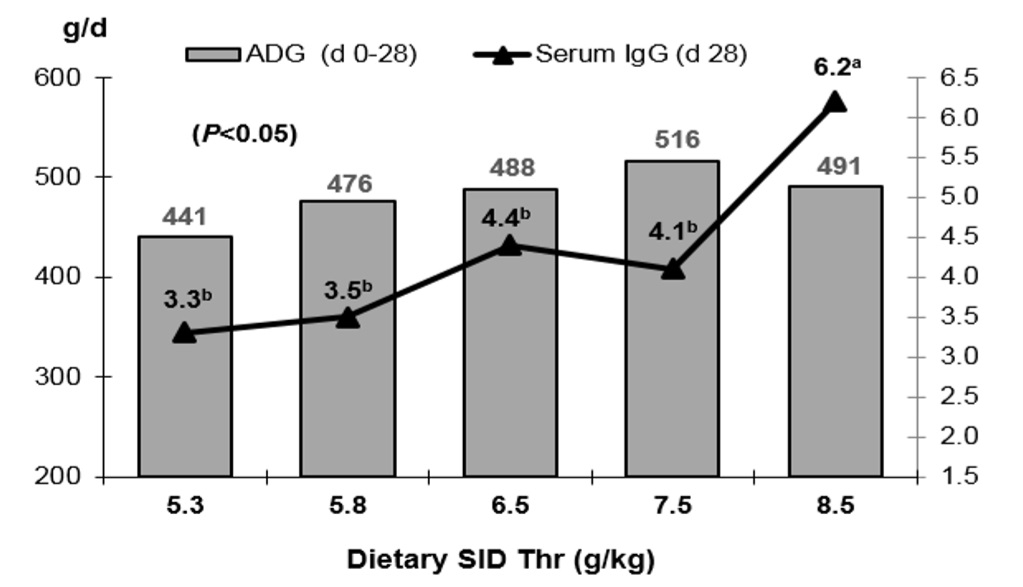 Functional amino acids to improve the immunity of pigs - Image 7