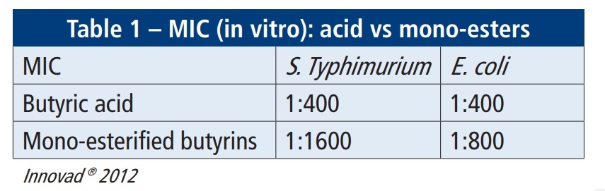 Weaning piglets without antibiotics - Image 2