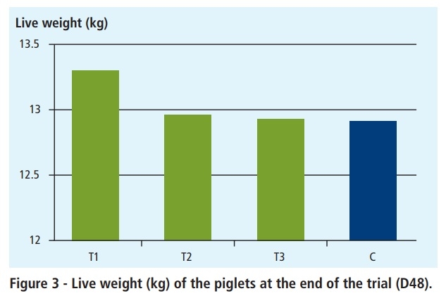 Weaning piglets without antibiotics - Image 5