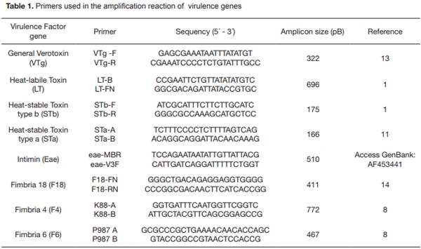 Frequency of virulence genes of Escherichia coli among newborn piglets from an intensive pig farm in Argentina - Image 1