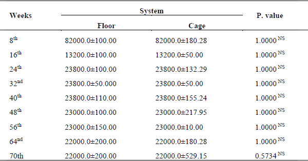 Effect of Different Housing Systems on Production Performance of Hens During Pre-Molting Stage - Image 1