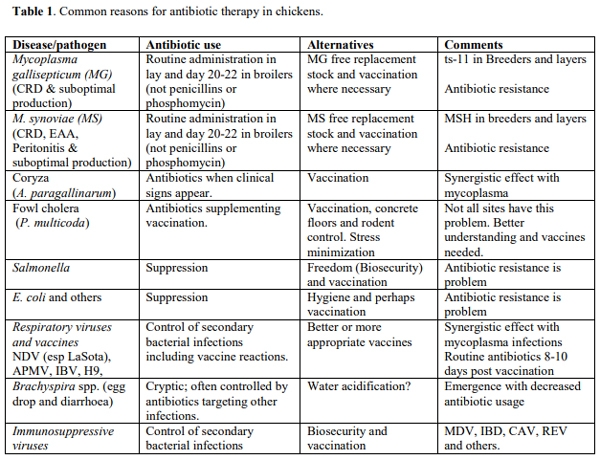 Rational Reduction in Antibiotic Dependence by Total Mycoplasma Control - Image 1