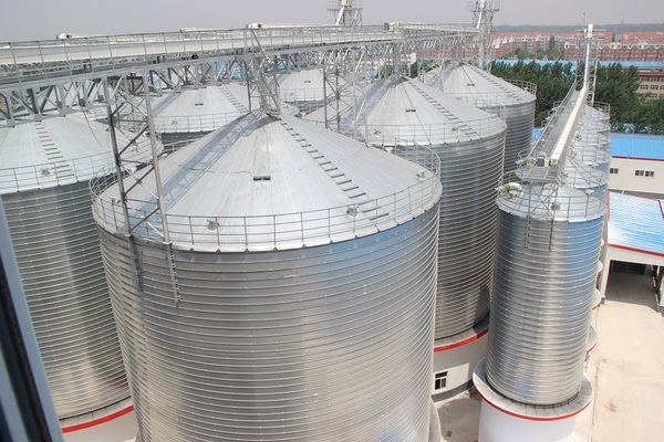 The effect of feed processing technology on the safety of feed - Image 3