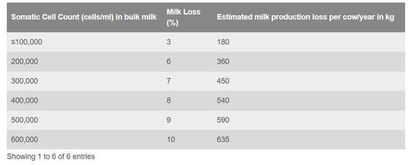 Fresh cow mastitis - Image 5