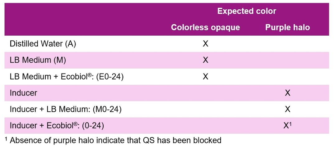 Bacillus amyloliquefaciens CECT 5940 (Ecobiol®) expresses quorum quenching activity - Image 1