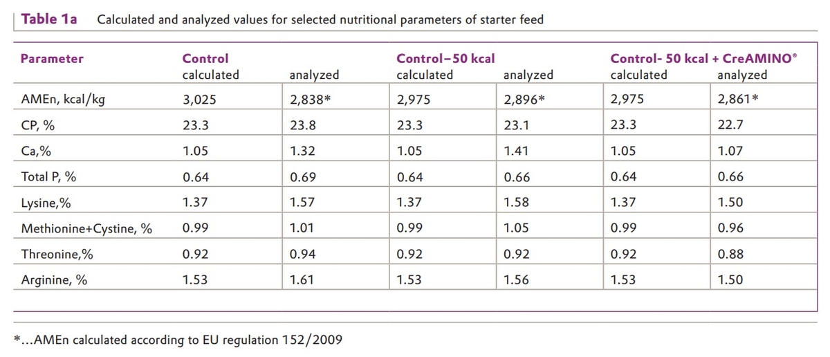 Effect of CreAMINO® in energy-reduced broilers diets – results from Russia - Image 1