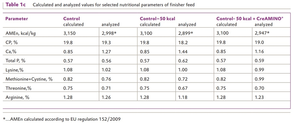 Effect of CreAMINO® in energy-reduced broilers diets – results from Russia - Image 3
