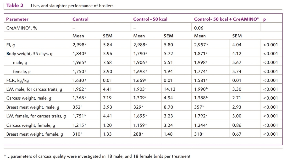 Effect of CreAMINO® in energy-reduced broilers diets – results from Russia - Image 4