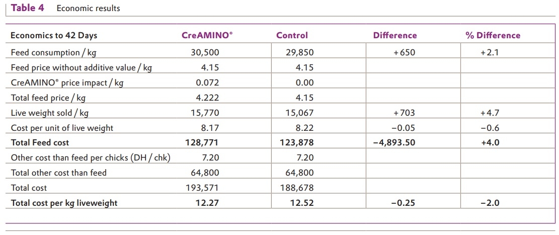 Excellent Result for CreAMINO® in Moroccan Broilers - Image 4
