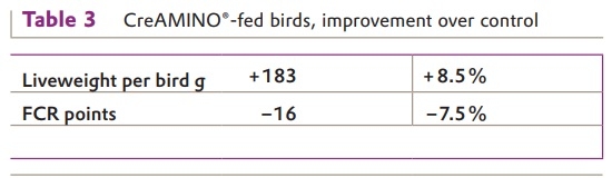 Excellent Result for CreAMINO® in Moroccan Broilers - Image 3