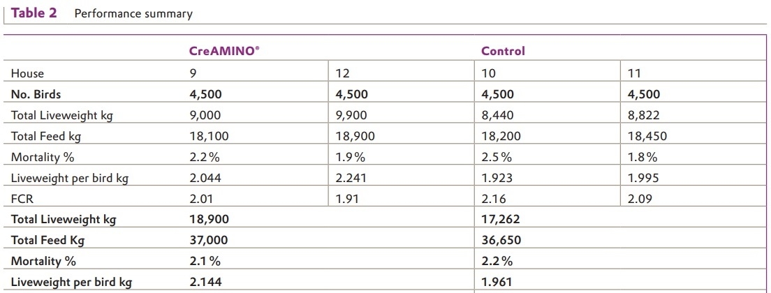 Excellent Result for CreAMINO® in Moroccan Broilers - Image 2