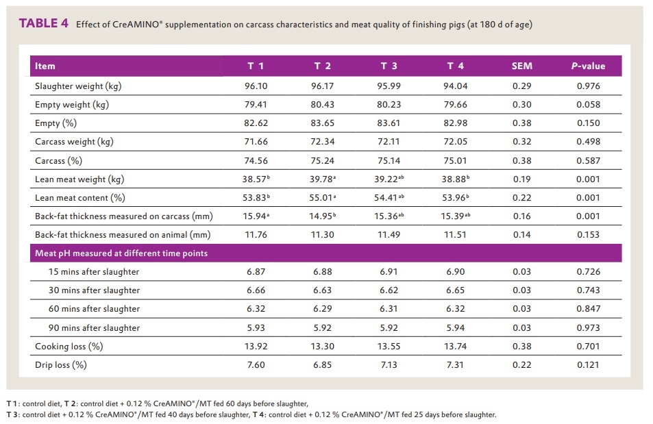 CreAMINO® improves growth performance and carcass quality of finisher pigs - Image 4