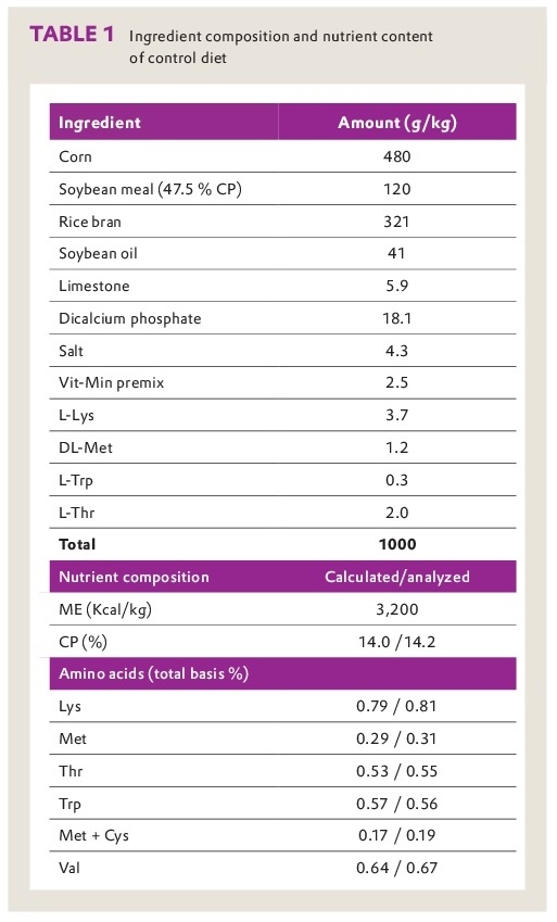 CreAMINO® improves growth performance and carcass quality of finisher pigs - Image 1