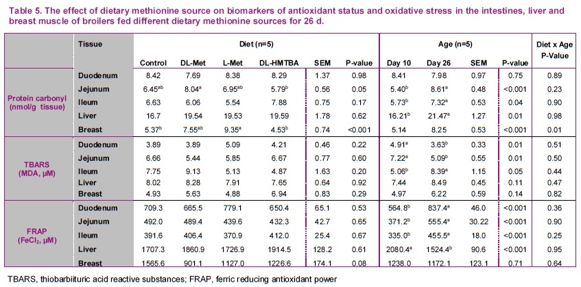 Supplemental dietary methionine sources have a neutral impact on oxidative status in broiler chickens - Image 6