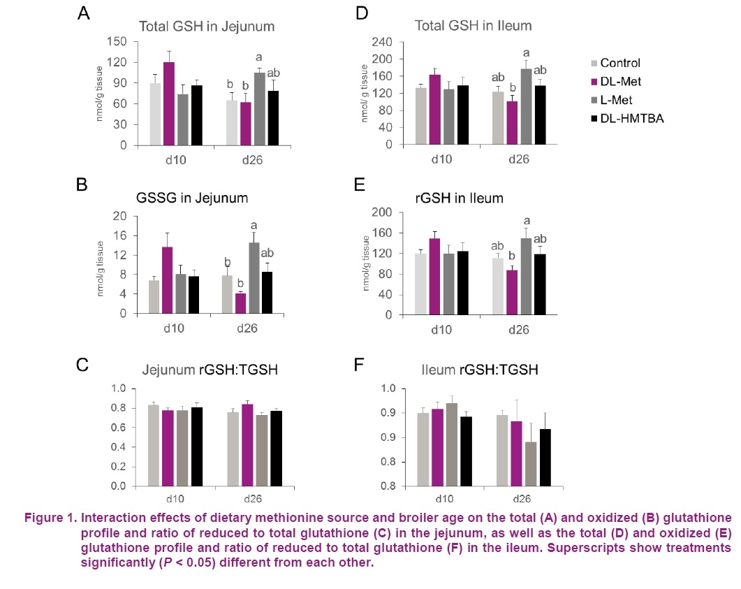 Supplemental dietary methionine sources have a neutral impact on oxidative status in broiler chickens - Image 5