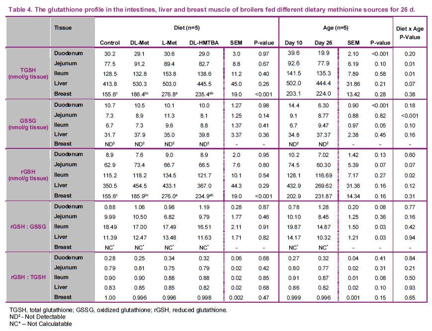 Supplemental dietary methionine sources have a neutral impact on oxidative status in broiler chickens - Image 4