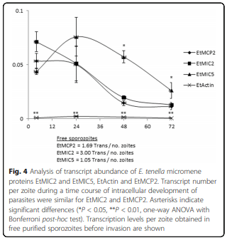 Characterization of novel microneme adhesive repeats (MAR) in Eimeria tenella - Image 8