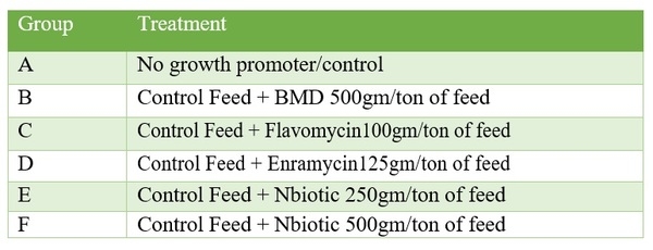 New Age Phytogenic solution to Antibiotic as growth promoter: Nbiotic - Image 2
