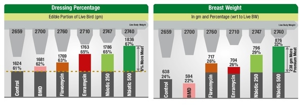 New Age Phytogenic solution to Antibiotic as growth promoter: Nbiotic - Image 5