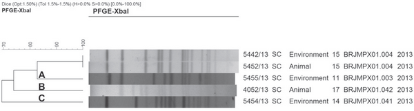 Serotyping and Genotyping of Salmonella Strains Isolated from Broilers, Chicken Carcasses Before and After Chilling, and Frozen Chicken Breasts Produced in the States of Mato Grosso do Sul and Santa Catarina, Brazil. - Image 4