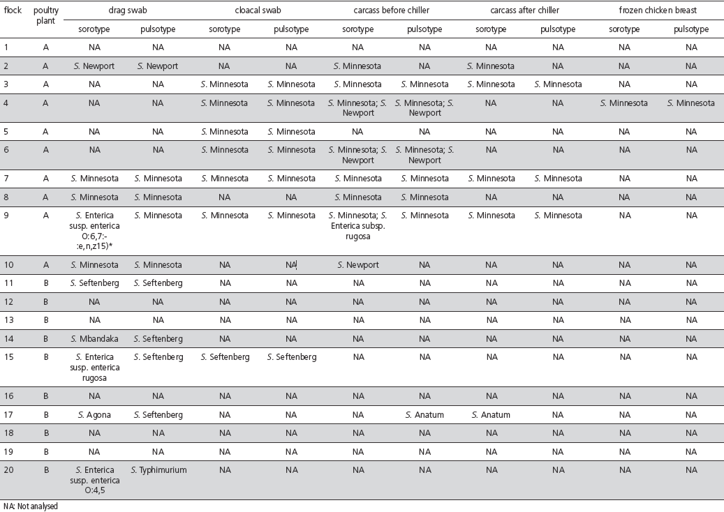 Serotyping and Genotyping of Salmonella Strains Isolated from Broilers, Chicken Carcasses Before and After Chilling, and Frozen Chicken Breasts Produced in the States of Mato Grosso do Sul and Santa Catarina, Brazil. - Image 6