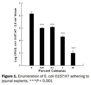 What are Refined Functional Carbohydrates (RFC™) and How Do They Promote Gut Health? - Image 1