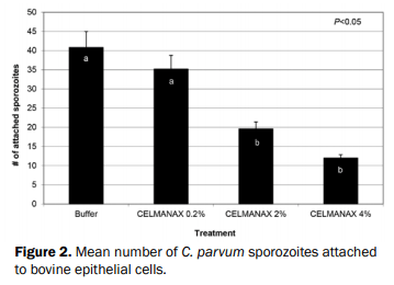What are Refined Functional Carbohydrates (RFC™) and How Do They Promote Gut Health? - Image 2