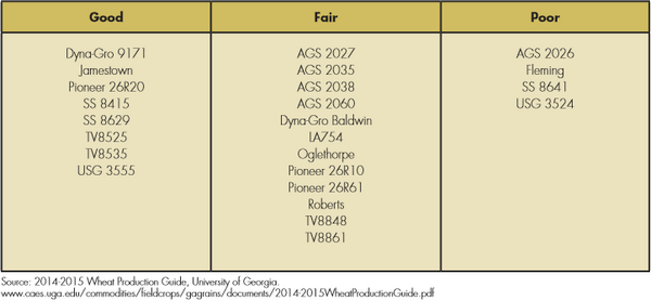 Identification and Control of Fusarium Head Blight (Scab) of Wheat in Georgia - Image 8
