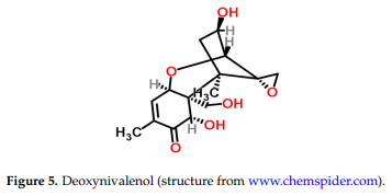 Occurrence, Toxicity, and Analysis of Major Mycotoxins in Food - Image 6