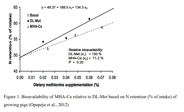 Selecting the Correct Methionine Source – A Key Index for Successful Pig Production - Image 1