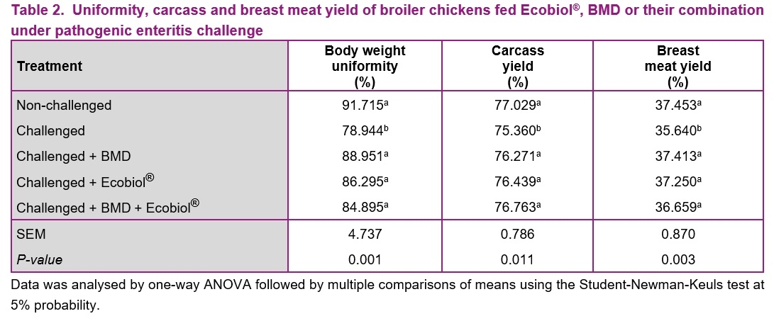 Bacillus amyloliquefaciens CECT 5940 (Ecobiol®) alone or in combination with antibiotic growth promoters improve performance in broilers under enteric pathogen challenge - Image 2