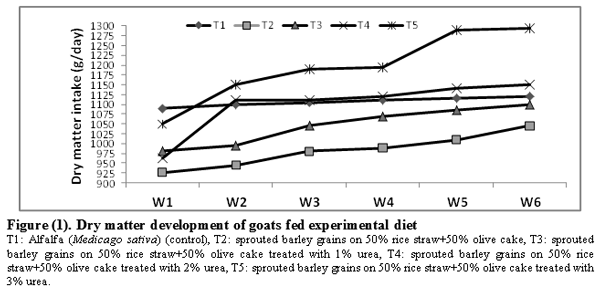 Effect of Feeding Sprouted Barley Grains on Rice Straw and Olive Cake on Performance of Goats in Sinai - Image 3