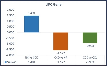 Fat metabolism: can improve poultry performance - Image 6