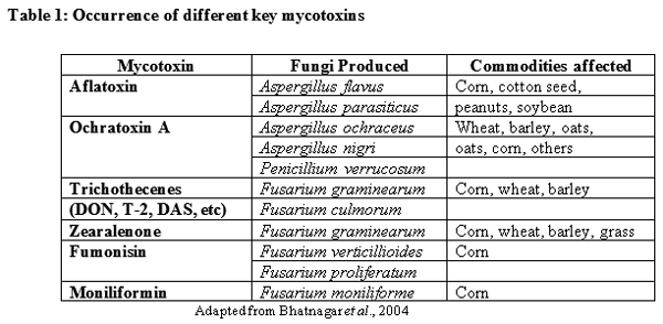 Mycotoxins: Still present threat to Poultry Industries? - Image 1