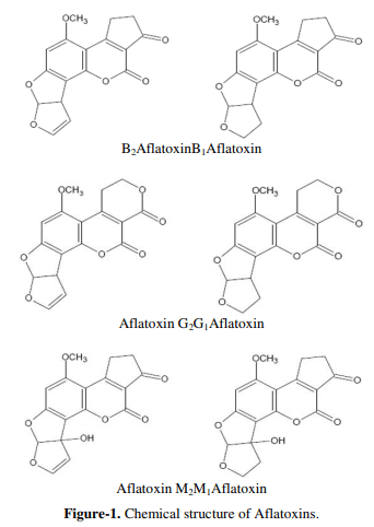 Effect of Aflatoxins on Poultry Production and Control Methods of Destructive Influence - Image 3